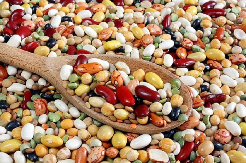 Nên ăn các loại đậu tốt cho quá trình lành thương